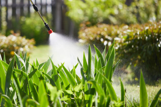 24/7 Emergency Wasp Removal experts in Goodview, MN