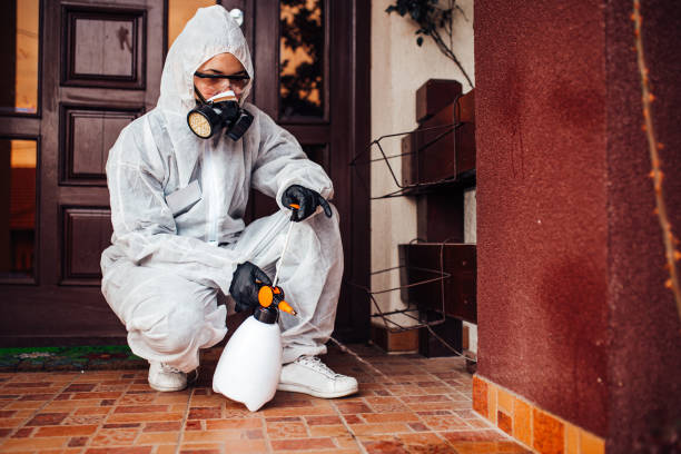 Reliable Wasp Removal contractor in Goodview, MN by Show Me Pest Control